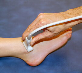 Darstellung der ventralen Anteile der Syndesmose über eine ventralen Schnitt im Bandverlauf.