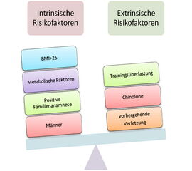 Intrinsische und extrinsische Risikofaktoren der Achillodynie