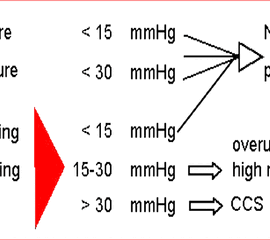 Algorithmus zum funktionellen Kompartmentsyndrom des Unterarmes (CECS) welcher analog zur Diagnostik zum Fuß herangezogen werden kann <a class=